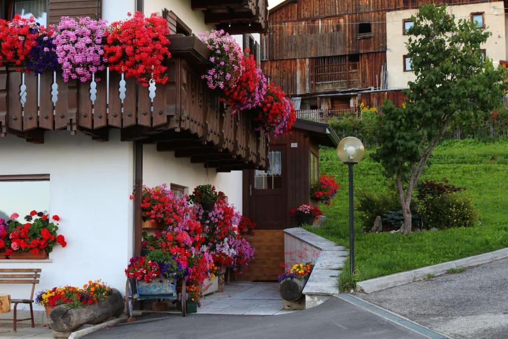 Piccola Suite Sul Civetta Colle Santa Lucia Exterior foto